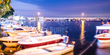 YALOVA ve HAYVANAT BAHES TURU