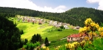 GRESUN and ORDU CITY TOURS