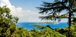 ISLAND TOUR