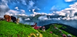 POKUT TOURS