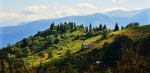 POKUT TOURS